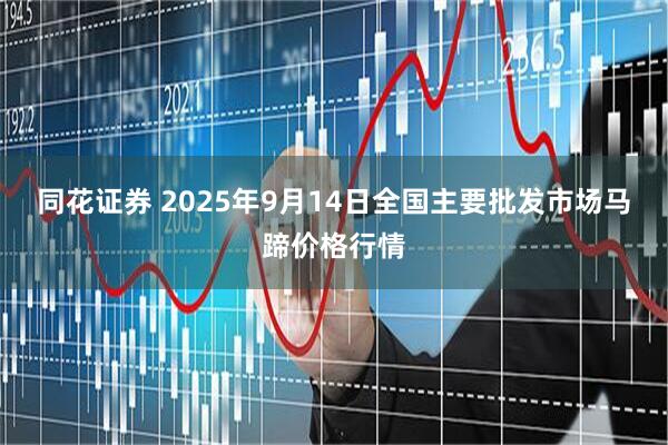 同花证券 2025年9月14日全国主要批发市场马蹄价格行情