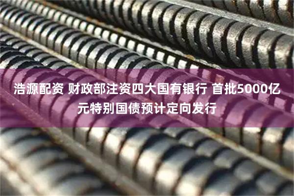 浩源配资 财政部注资四大国有银行 首批5000亿元特别国债预计定向发行