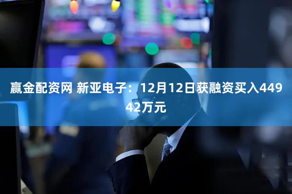 赢金配资网 新亚电子：12月12日获融资买入44942万元