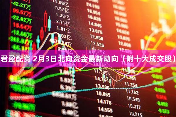 君盈配资 2月3日北向资金最新动向（附十大成交股）